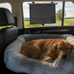 Adjustable Mesh Roller Sunshades for Cars and SUVs 2 Pack