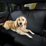 Foldable Rear Glass Sunshade with Suction Cup Installation