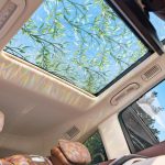 Static-Cling Decorative Sunroof Film with Vintage Leaf Patterns